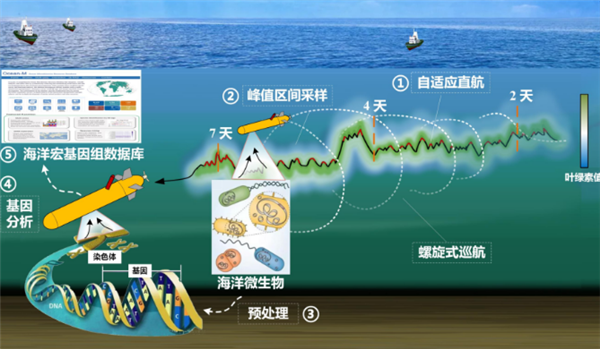 我国首台！深海微生物原位采样自主水下飞翔器研制收效