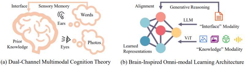 图丨大脑中的多模态认知过程启发了该研究中的设计（来源：arXiv）