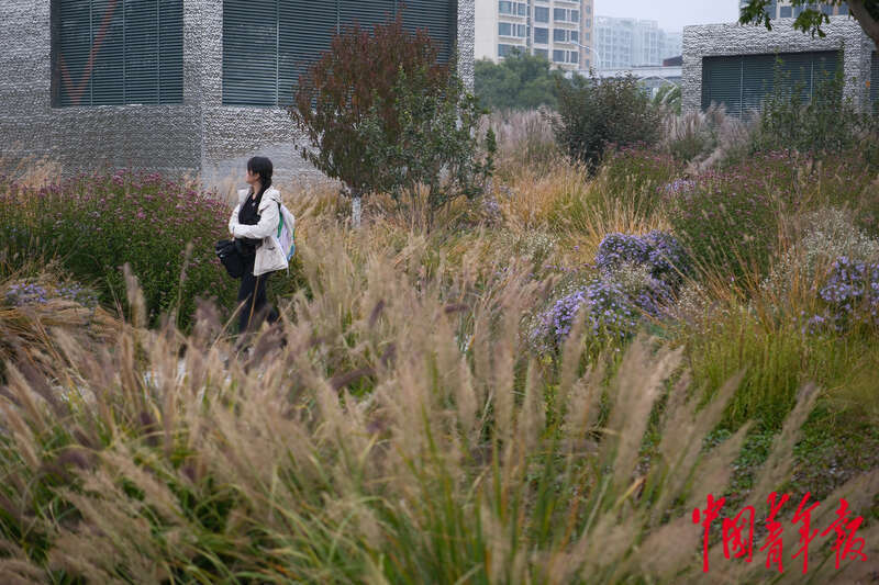 北京建设花园城市 老百姓“转角遇见美景”