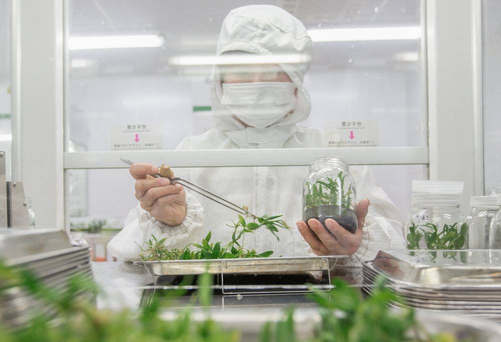 逆势上涨背后，中医药变了？ - 吾爱微网