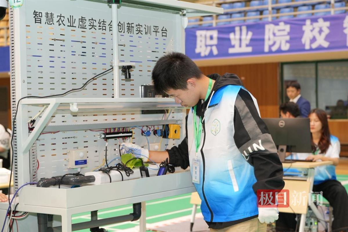 QQ图片20241114191310.jpg