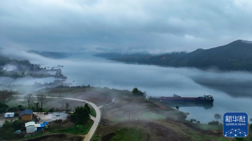 这是广西来宾市武宣县春意融融的黔江河(3月20日摄,无人机照片).