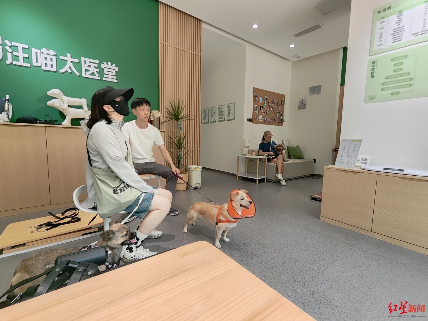 有没有人也养过黑白色的帕格犬（Puggle）？ 去年九月它去世了，我想它想得要命，无法用语言形容。它是我见过最好的狗狗，小小的胖乎乎的身体里充满了个性, image size:1440x1080