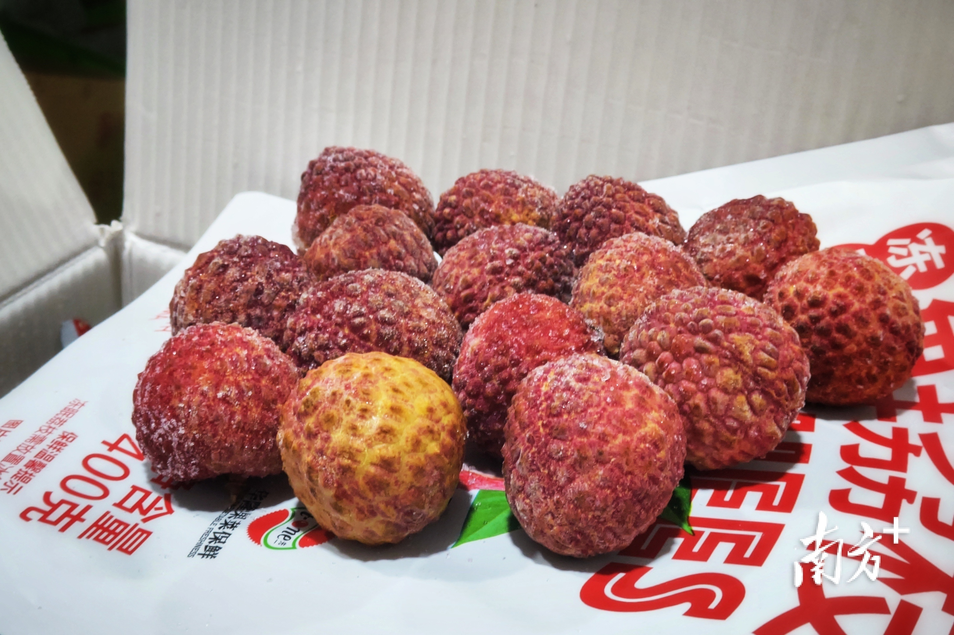 冻眠了10个月的荔枝,能吃吗?好吃吗?怎么吃?_凤凰网