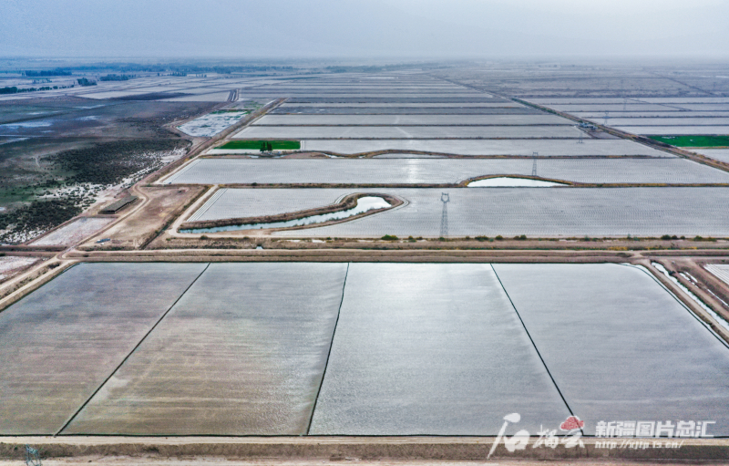4月22日，航拍位于阿克苏市柳源镇的万亩水稻田。（无人机航拍图片）