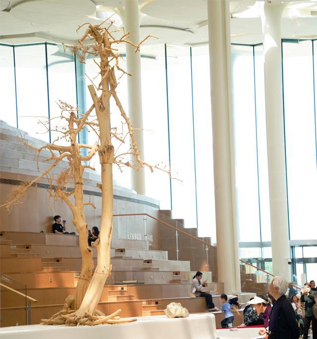 史金淞作品双松图