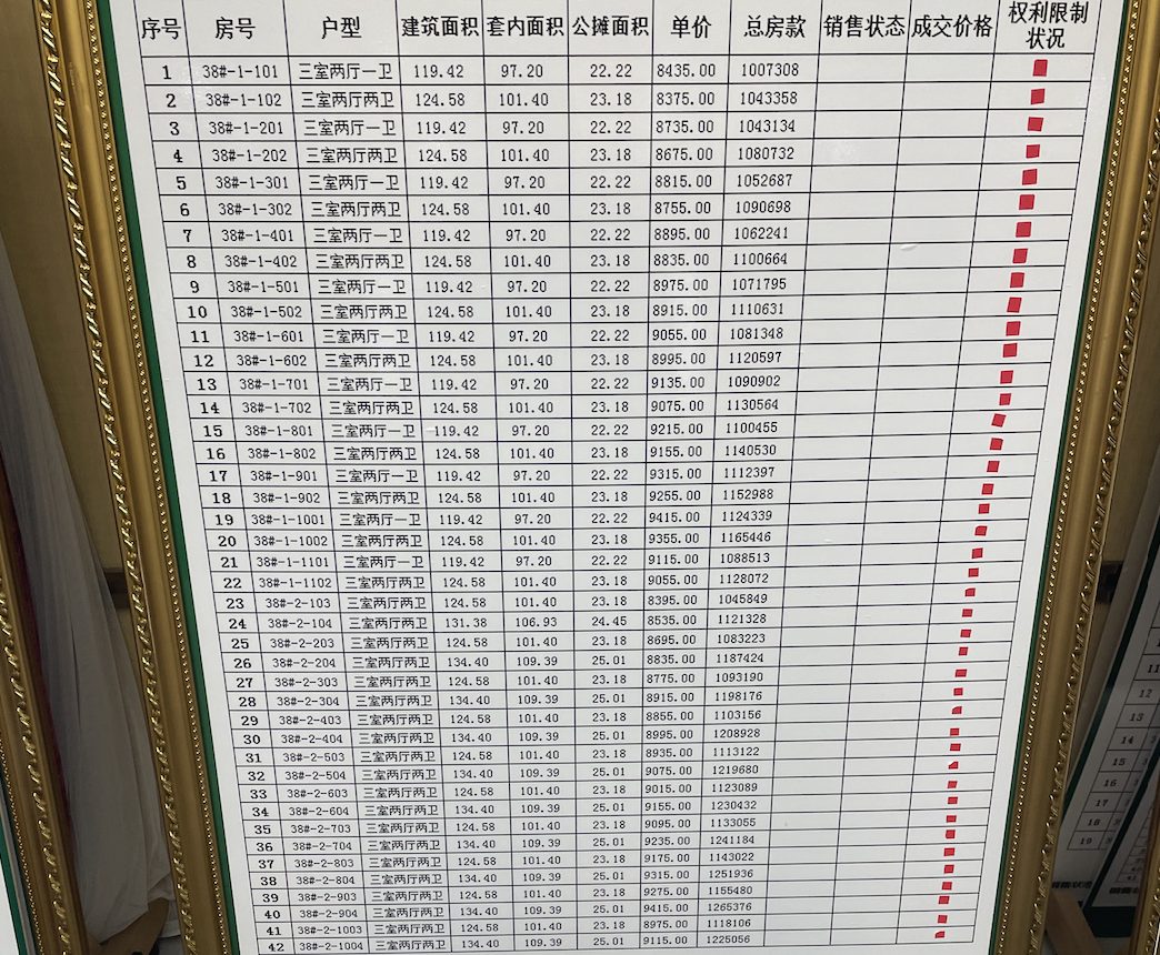 还未售出的楼盘列表 图源：时代周报记者 傅一波