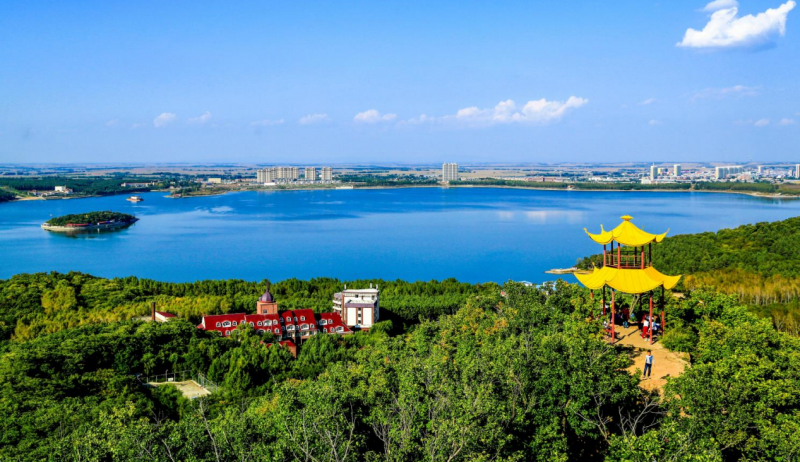 宠物医疗区有哪些器材依托资源优势，聚力合作共赢 宾县创造更多投资机会_https://www.jmylbn.com_新闻资讯_第2张