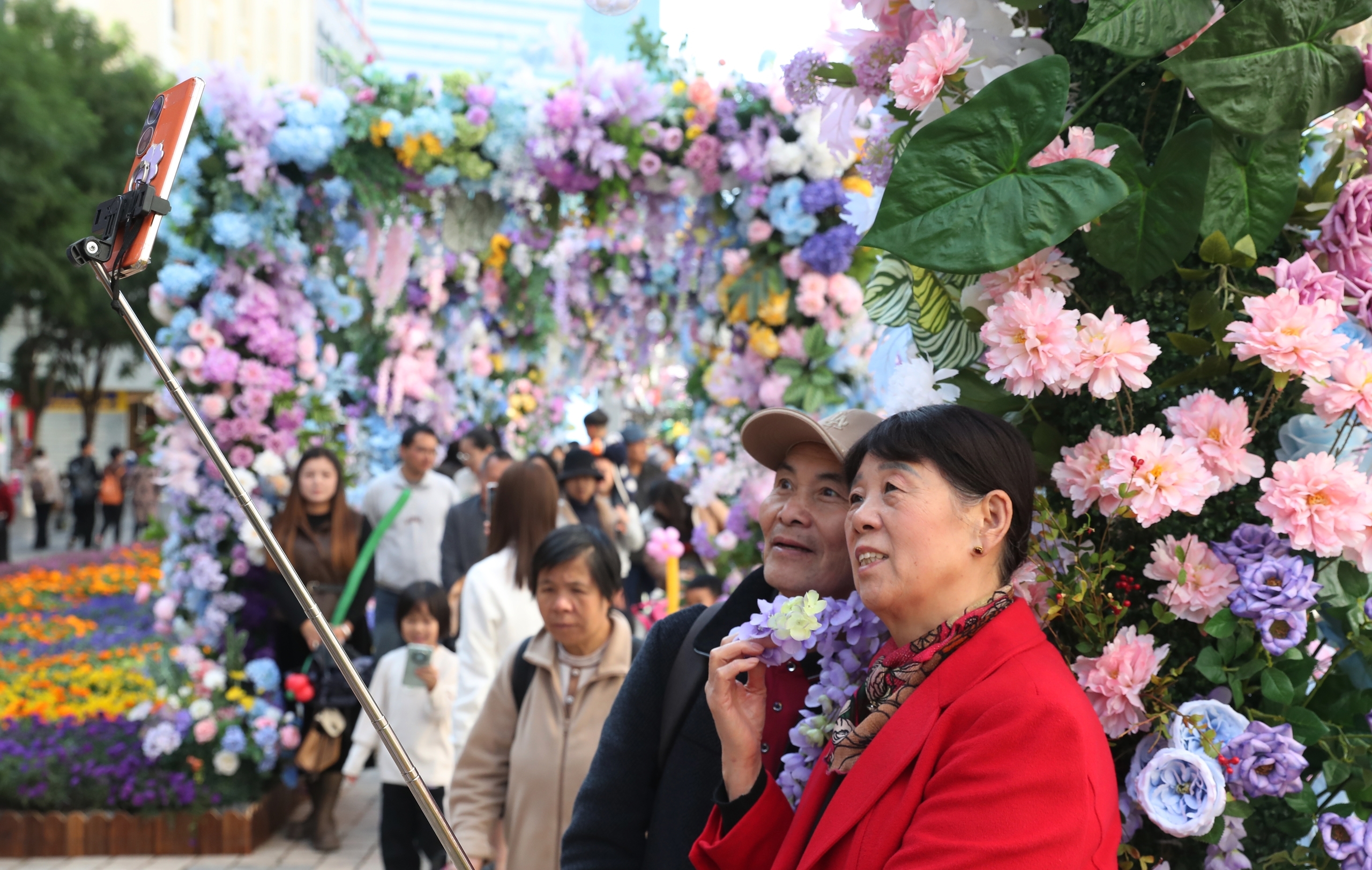 2024年11月30日，云南昆明，市民在南屏步行街的花卉走廊游玩打卡。 IC 图