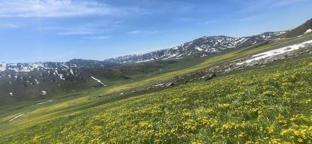 《我的阿勒泰》收官，当地文旅局：将结合该剧推出旅游新线路