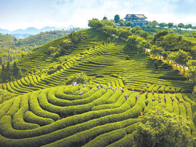 建设好现代农业产业园（新时代画卷&middot;国家现代农业产业园①）