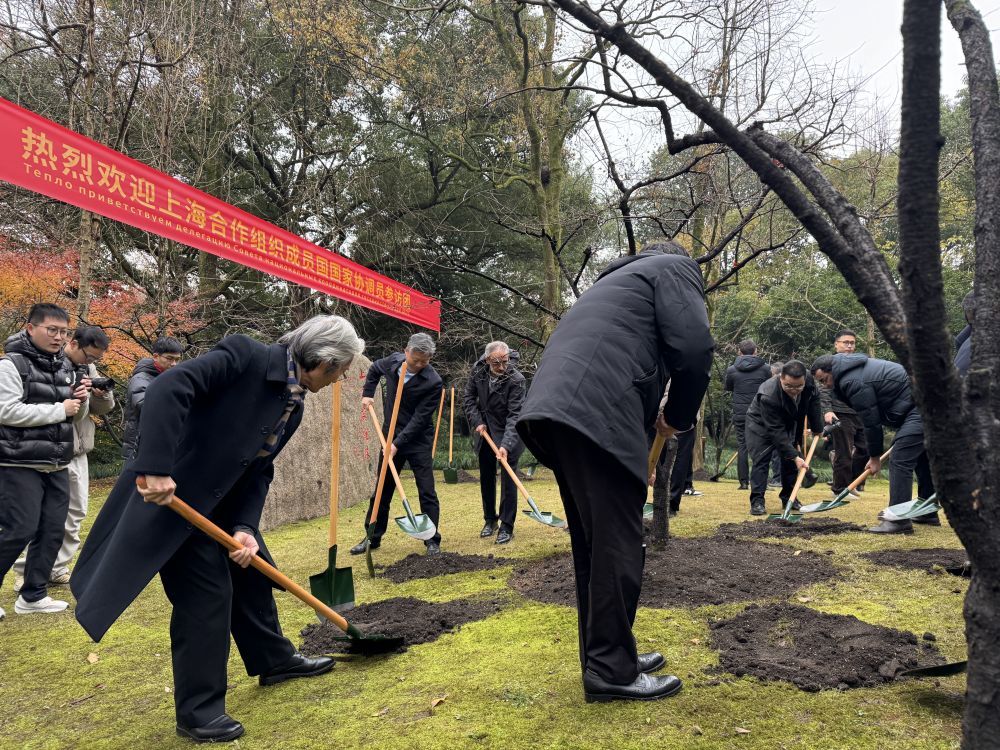 12月13日，上海合作组织成员国国家协调员来到西湖边的“上合友谊林”，共同为象征友谊的美人梅培土。新华社记者 段菁菁 摄