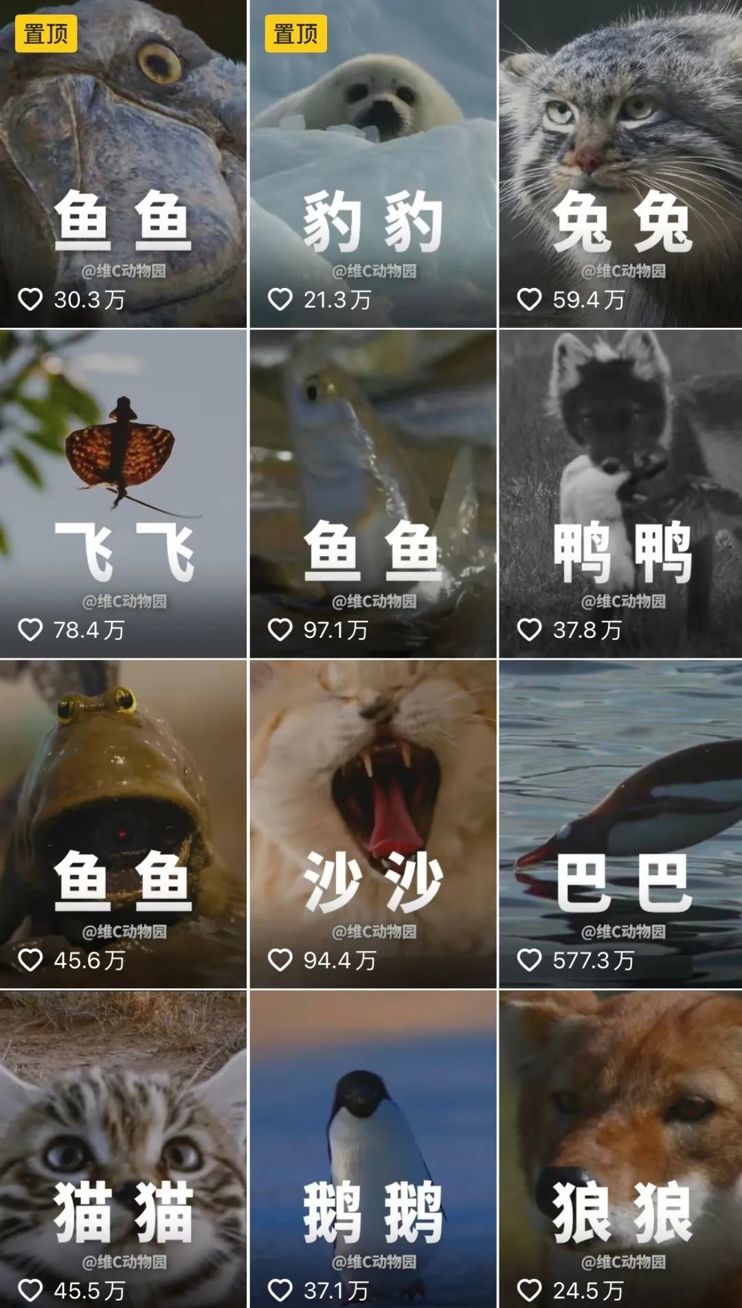 一年一度的腎單節又到了祝熊哥哥生日快樂, image size:1080x1903