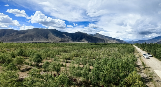 雅鲁藏布江北岸南木林生态示范区 摄影：韩丰