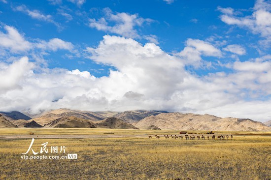西藏阿里：高原公路建设忙【10】
