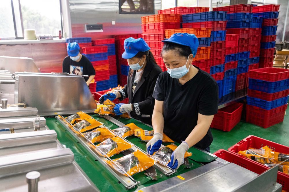 6月5日，在浏阳市关口街道道源湖村一家粽子生产车间，工人在包装粽子。