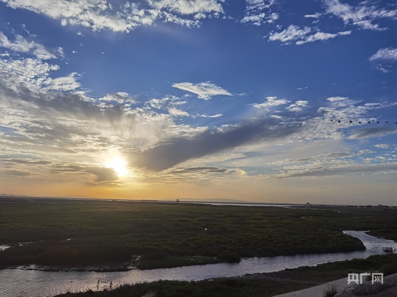 高家湖湿地风景如画（央广网记者 夏莎 摄）