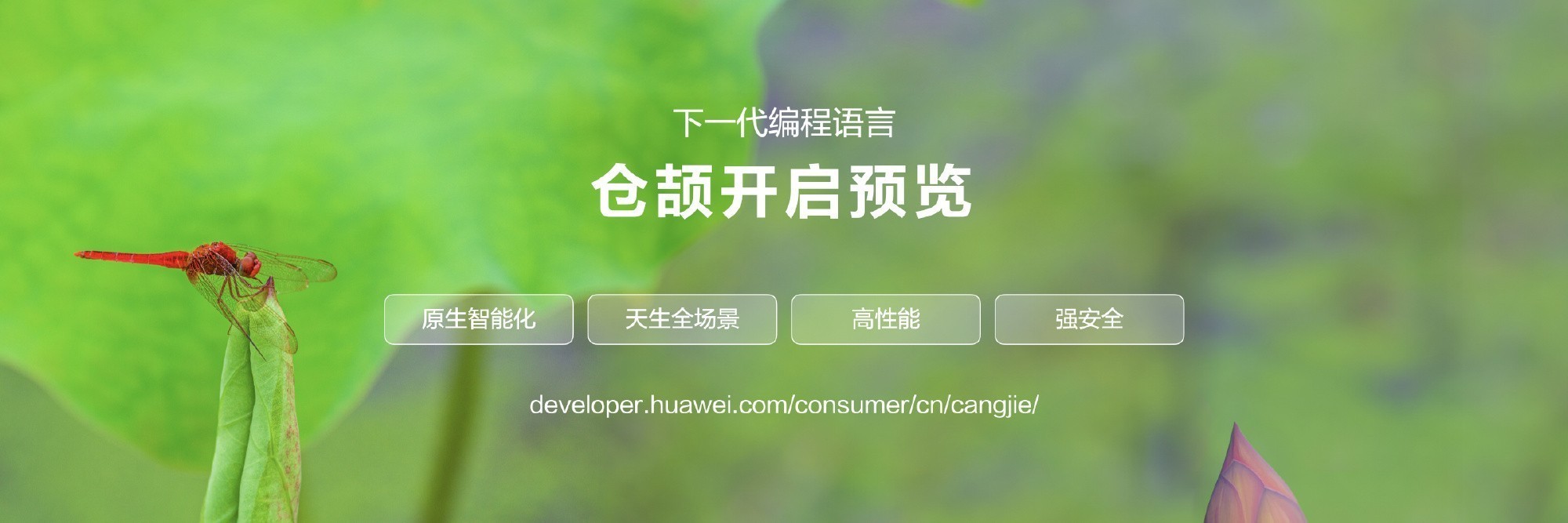 HDC2024华为开发者大会汇总:HarmonyOS NEXT,纯血鸿蒙来了