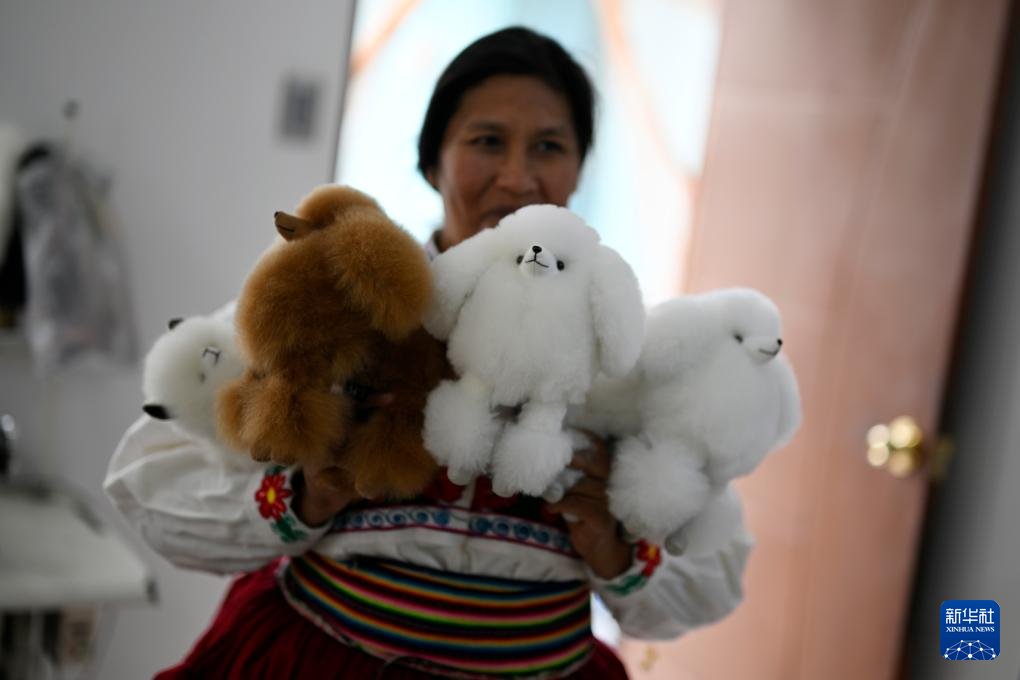 6月20日，在秘鲁阿雷基帕，手工艺人奥斯瓦尔多·马马尼的妻子展示羊驼毛制作的动物玩偶。新华社记者 李木子 摄