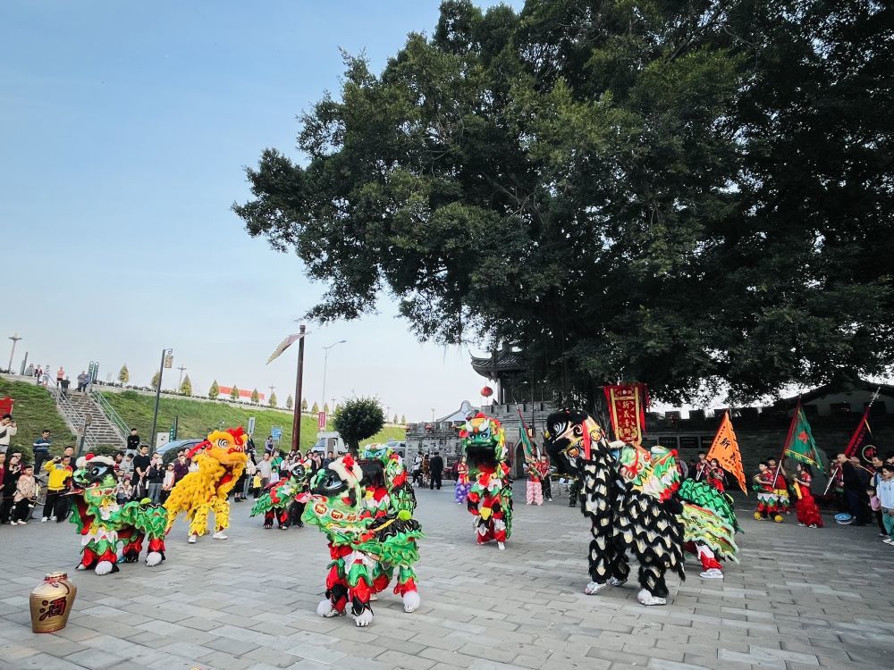 广东潮州龙湖古寨广场上演舞狮表演。（陈莹 摄）