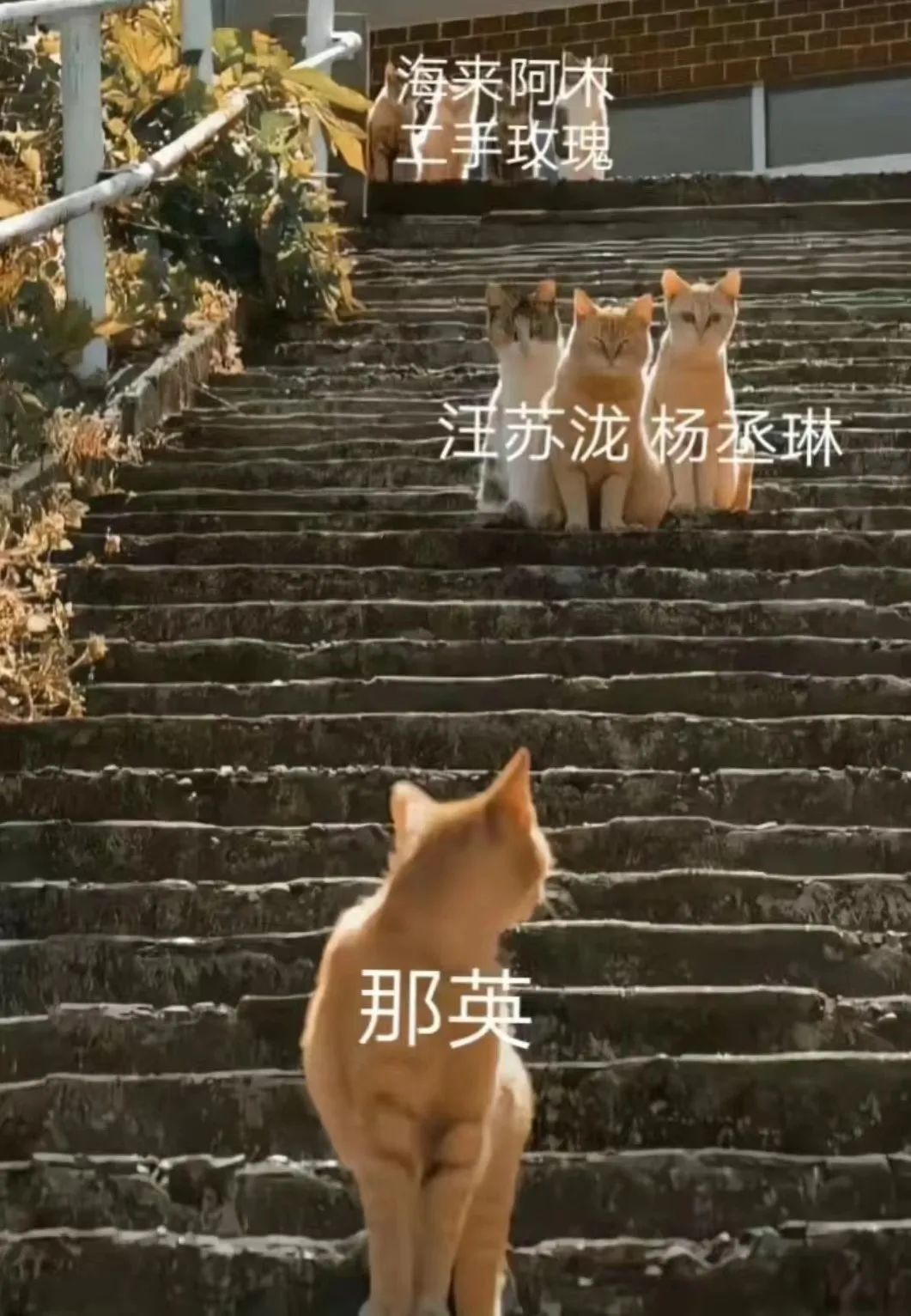 “第三次世界大战,打在华语乐坛”