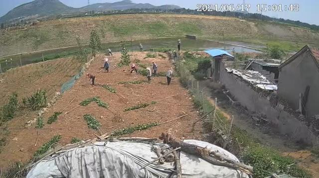徐先生家地里种的树已被当地以影响行洪为由砍掉，但相邻地块中几年前盖的房子却未受影响