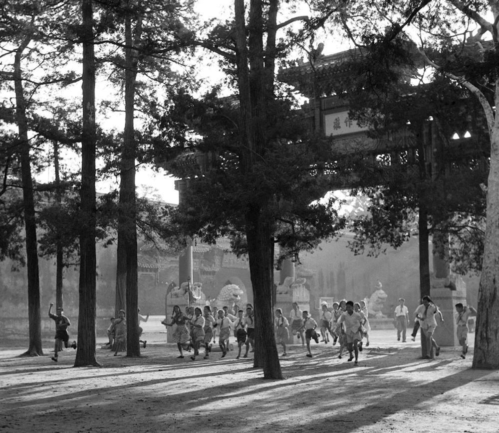 1959年,参加夏令营的少先队员们在北京景山公园的古树林里锻炼身体。