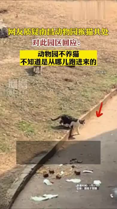 #网友质疑南昌动物园猴猫共处#热点知多少