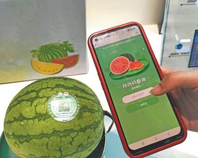 建设好现代农业产业园（新时代画卷&middot;国家现代农业产业园①）