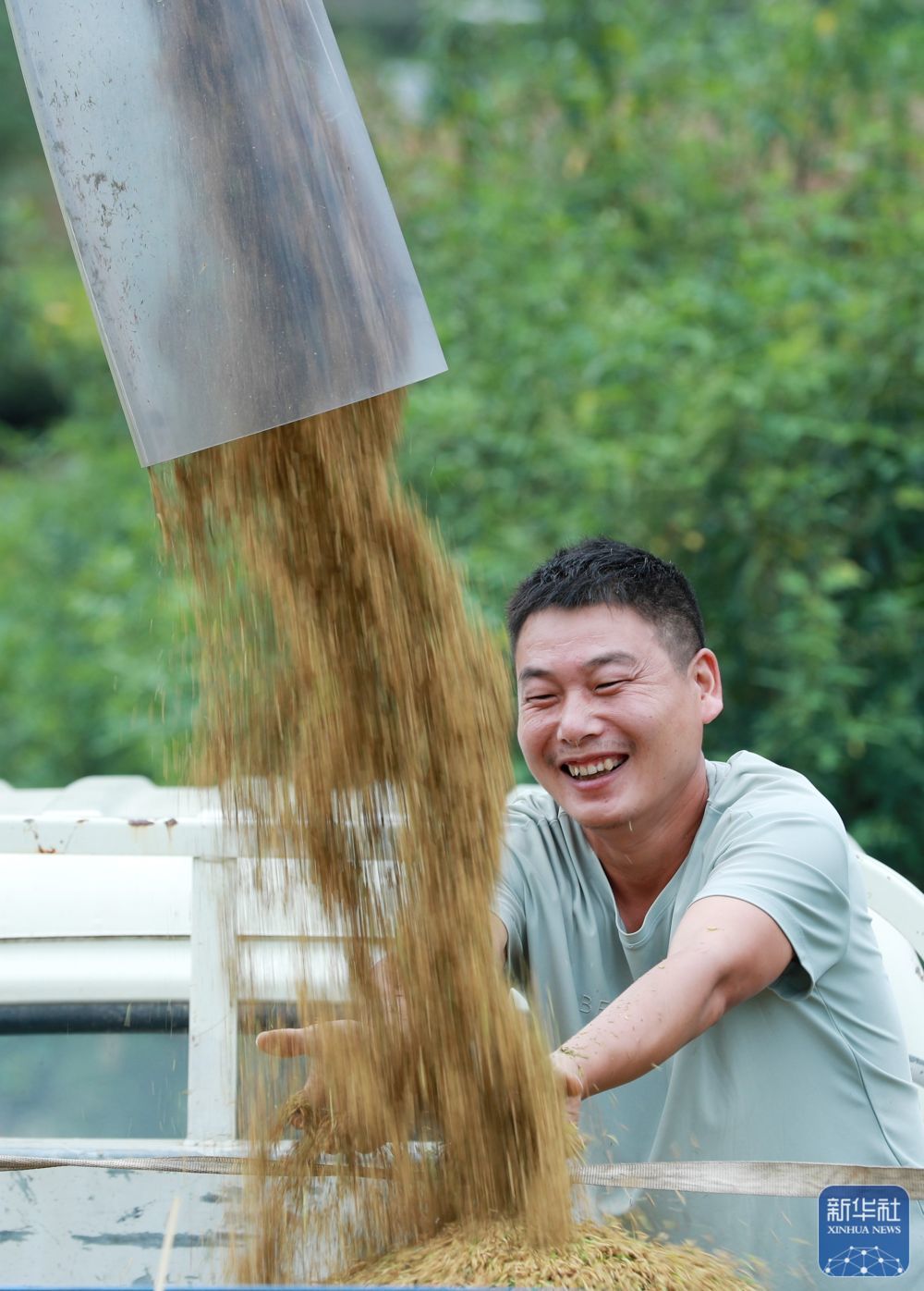 ↑9月22日，在湖北省秭归县九畹溪镇石柱村，村民在查看刚收割的冷水稻谷。新华社发（王罡 摄）