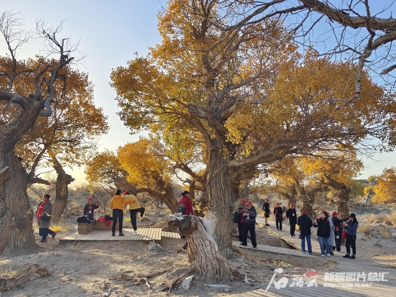 游客在伊吾胡杨景区游览。 赵桂年摄