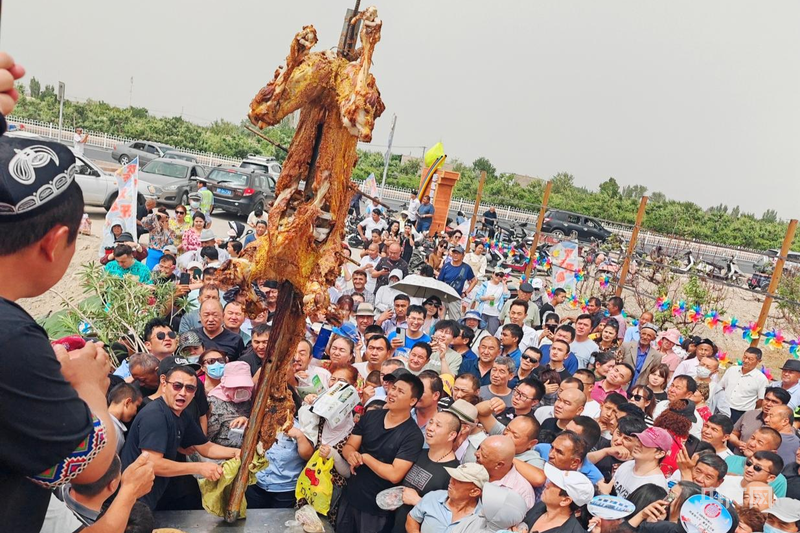 5月18日，库尔勒市英下乡第三届烤肉节烤骆驼现场 （央广网发 王静 摄）