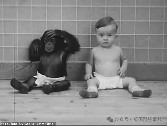Donald和Gua,图片来自Dailymail