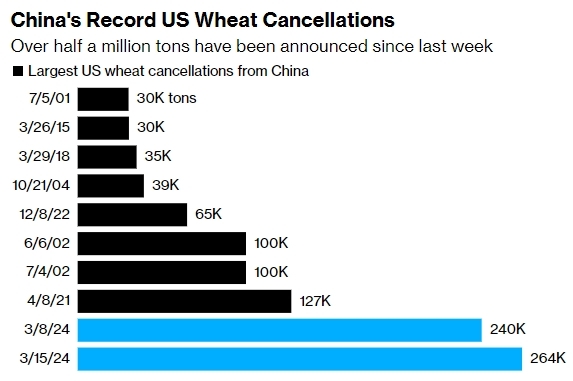 中国购野撤销的孬生理国小麦订双 截图自彭专社
