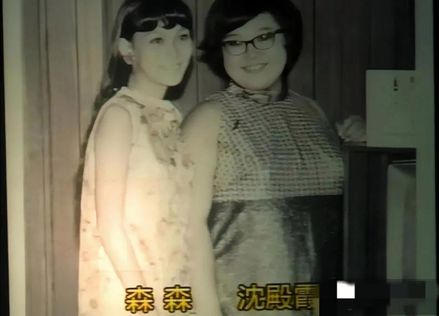 沈殿霞逼死翁美玲？是娱乐圈太黑暗，还是为爱倾尽所有？