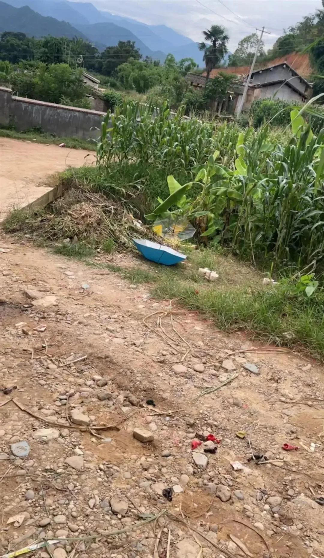嫌疑人指认现场（图源：受访者提供）