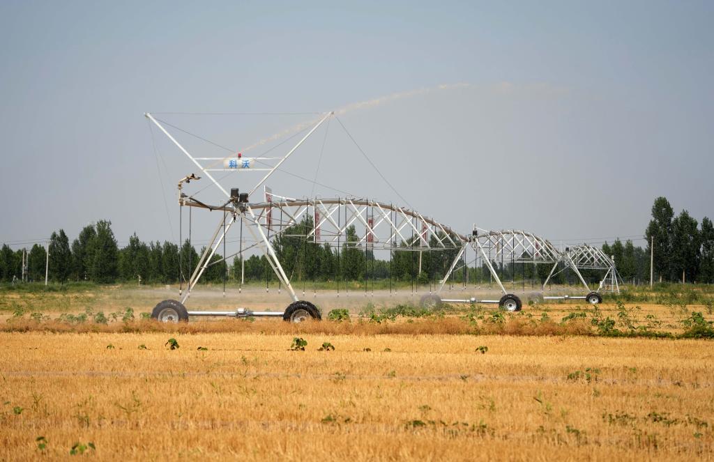 6月19日，在山东省高青县青城镇，一台大型农用浇灌设备用黄河水浇灌农田。新华社记者 徐速绘 摄