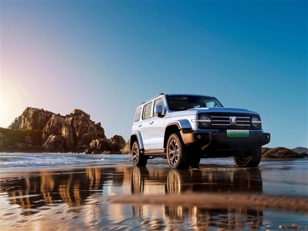 4月硬派越野车销量榜:长城汽车霸榜 前十独占七席