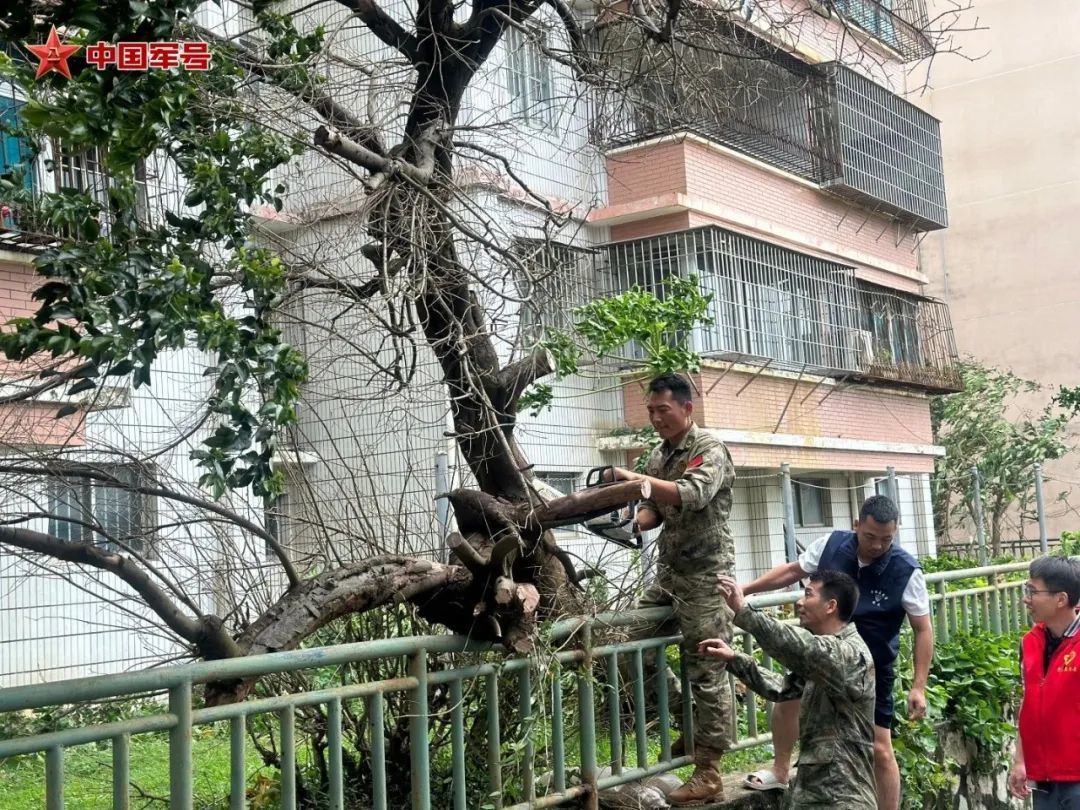 坡头区人武部组织民兵清理倒伏的树木。刘天昊 摄