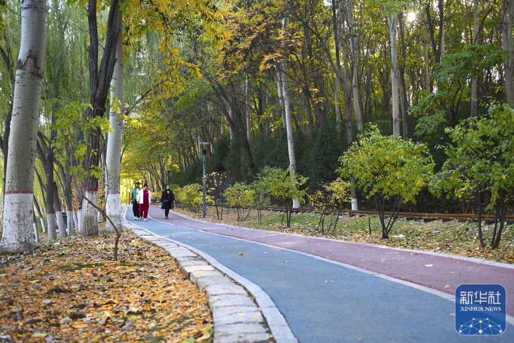 10月22日，人们在银川市森林公园欣赏秋景。