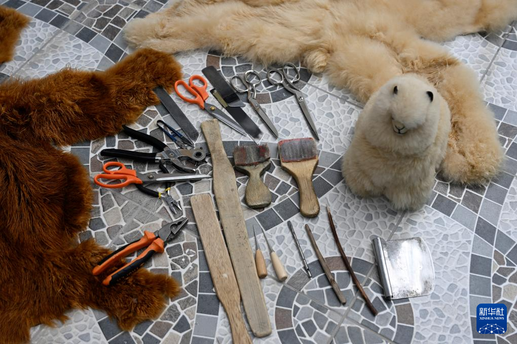 这是6月20日在秘鲁阿雷基帕拍摄的羊驼皮毛和手工制作羊驼玩偶所使用的工具。新华社记者 李木子 摄