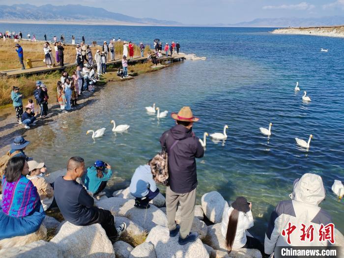 9月21日，新疆赛里木湖湖面波光粼粼，天鹅悠然游弋，秋日风光吸引来自全国各地的游客驻足欣赏、拍照打卡。赛里木湖被誉为“大西洋的最后一滴眼泪”，以其清澈的湖水和四周壮丽的雪山草原而闻名遐迩。中新社记者 王小军 摄