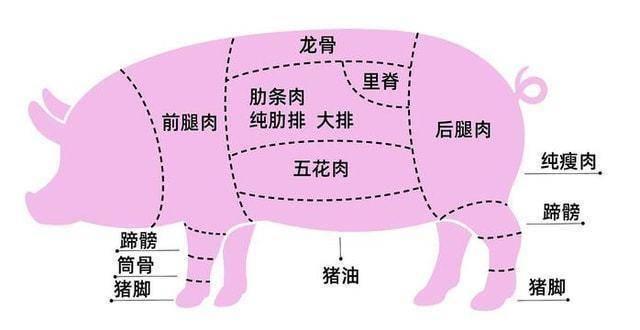 猪身上的7个部位，医生建议少吃，大肠排最后，榜首的很多人爱吃
