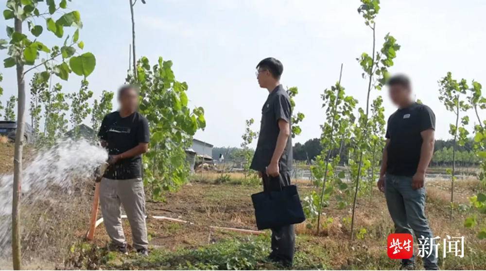 罗姓父子“补植复绿”的杨树正茁壮成长。（法院供图）