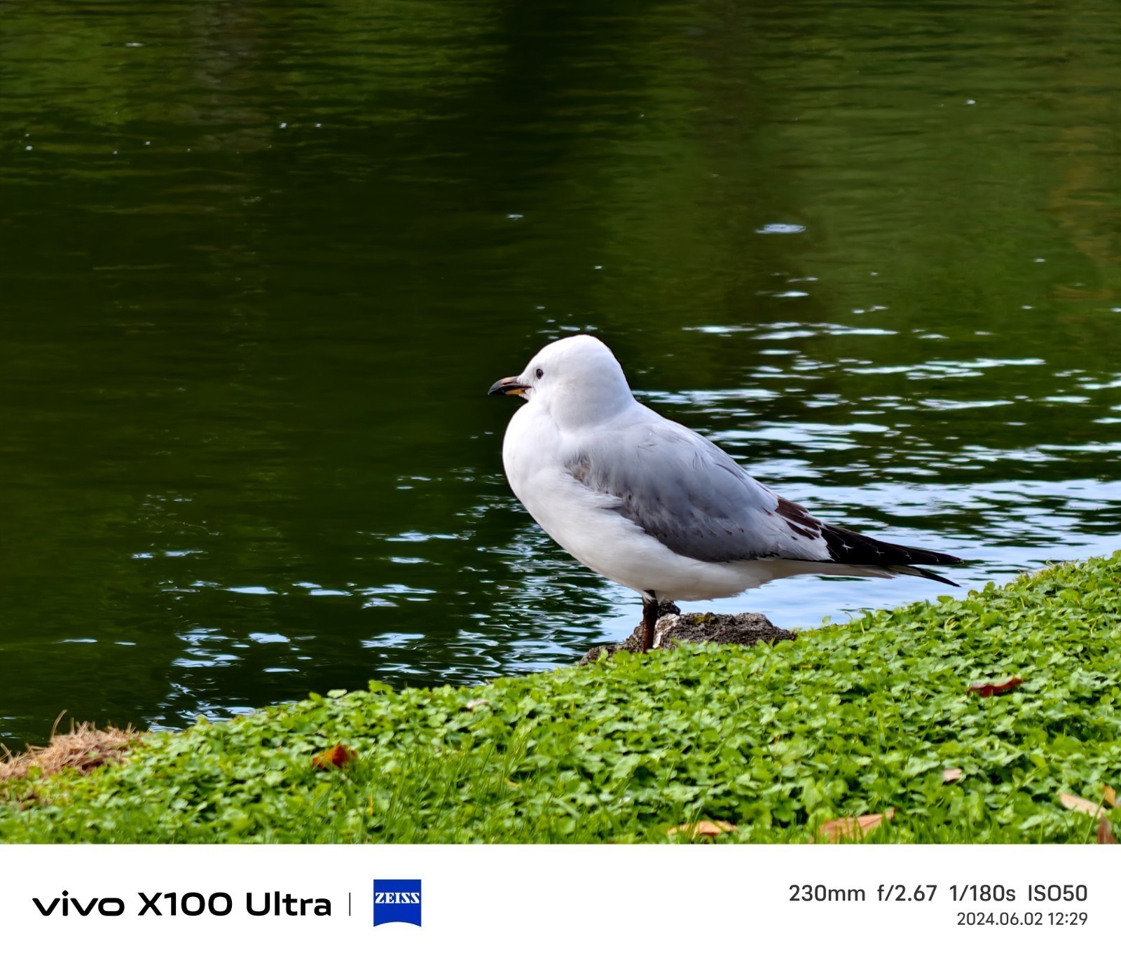 够全能，才能叫“灭霸” vivo X100 Ultra体验分享
