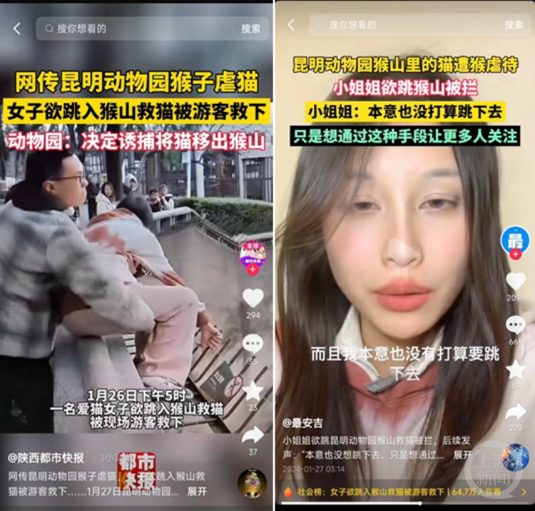 跳猴山救猫的女子表示,自己没有打算要跳下去。 网络图