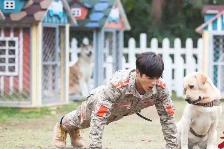 （图/《神犬小七第三季》）