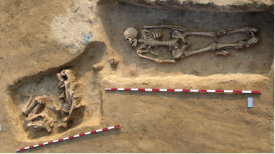 公元7世纪,匈牙利一名男子被埋在一匹马旁边,如今他有了家族史。图源:Institute of Archaeological Sciences/Eötvös Loránd University Museum