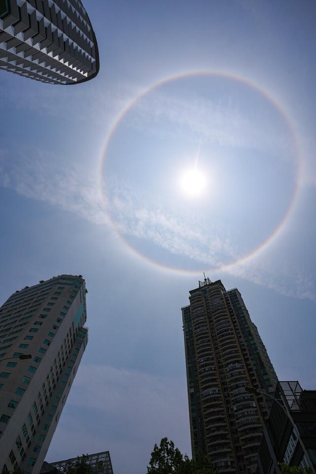 ▲深圳出现日晕奇观。深圳晚报记者 严文婷 摄