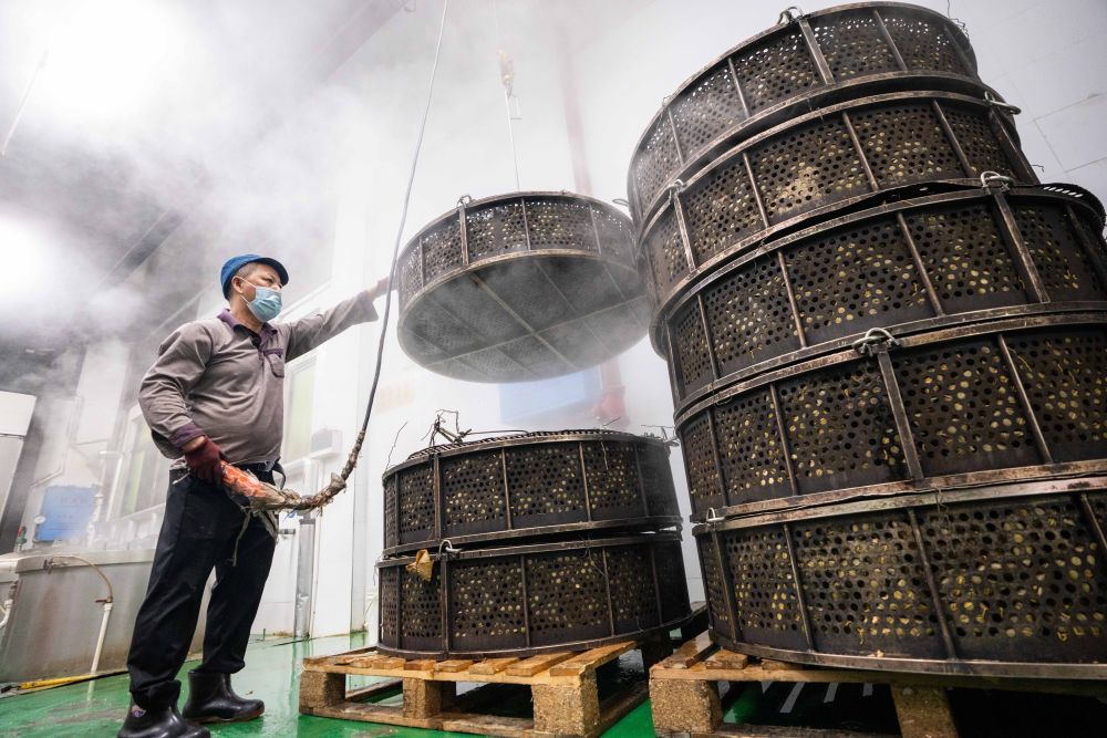 6月5日，在浏阳市关口街道道源湖村一家粽子生产车间，工人在处理煮好的粽子。